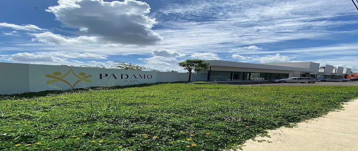 Foto de local en renta en calle 23 , cholul, mérida, yucatán, 0 No. 05