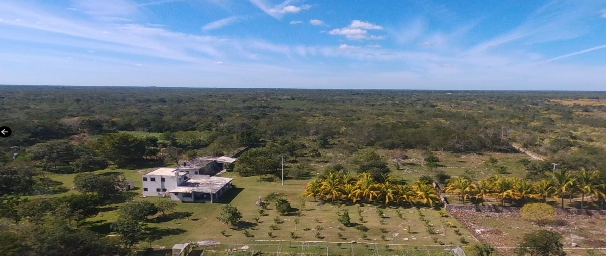 Foto de rancho en venta en calle 25 , chicxulub, chicxulub pueblo, yucatán, 30535410 No. 05