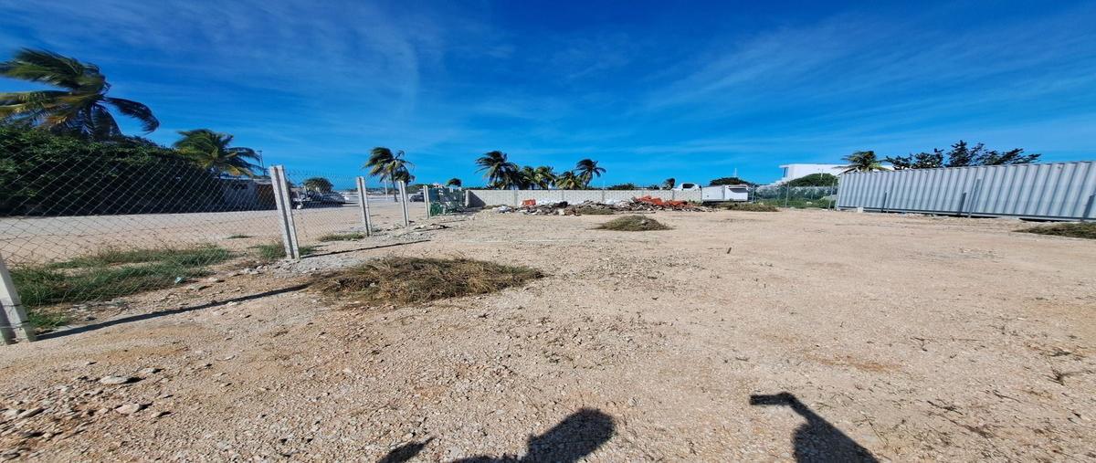 Foto de terreno habitacional en renta en calle 25 entre 84 y 86 centro progreso yucatan , progreso de castro centro, progreso, yucatán, 0 No. 01