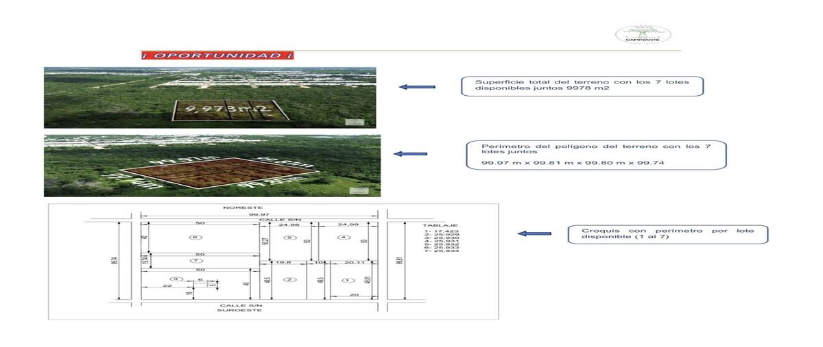 Foto de terreno habitacional en venta en calle 29a , san juan bautista, mérida, yucatán, 0 No. 03