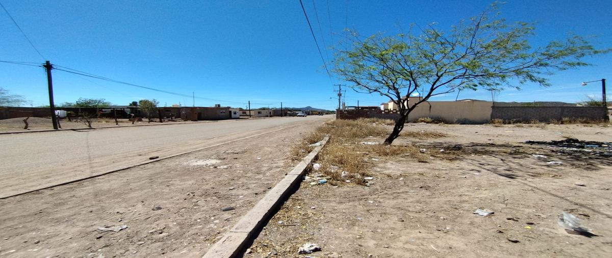 Foto de terreno comercial en renta en calle 3 y claveles , palmares, empalme, sonora, 28175125 No. 03