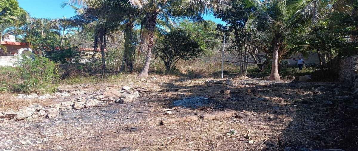 Foto de terreno habitacional en venta en calle 31 , centro hunucmá, hunucmá, yucatán, 0 No. 03