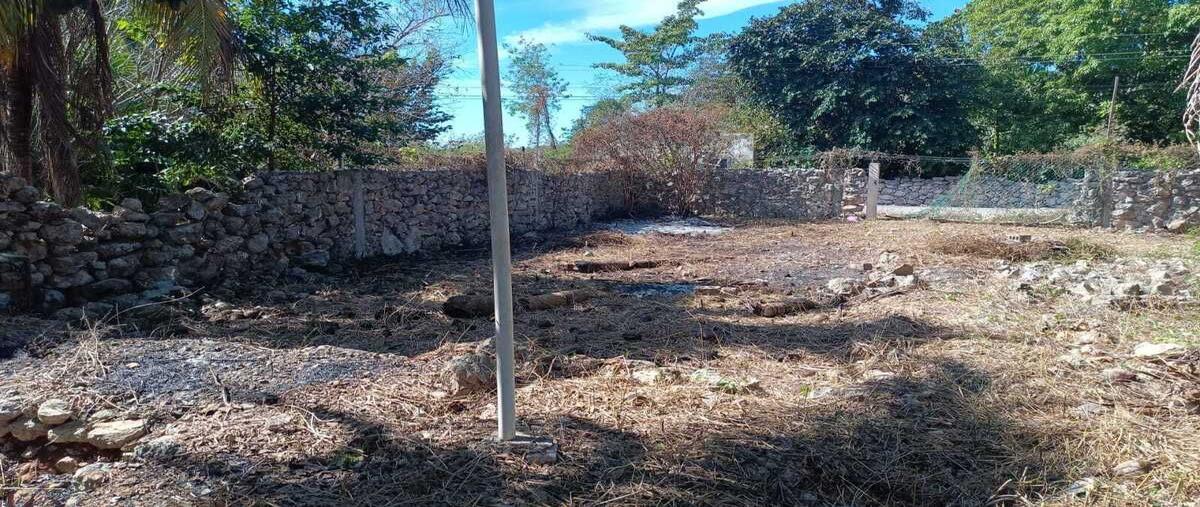 Foto de terreno habitacional en venta en calle 31 , centro hunucmá, hunucmá, yucatán, 0 No. 04