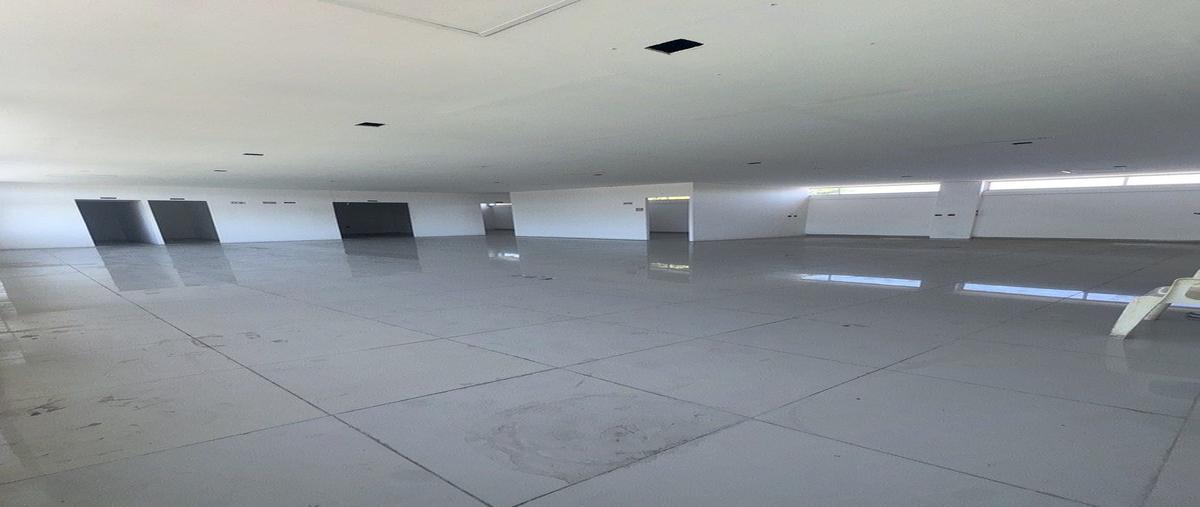 Foto de oficina en renta en calle 32 por 33 , ciudad del carmen centro, carmen, campeche, 0 No. 05