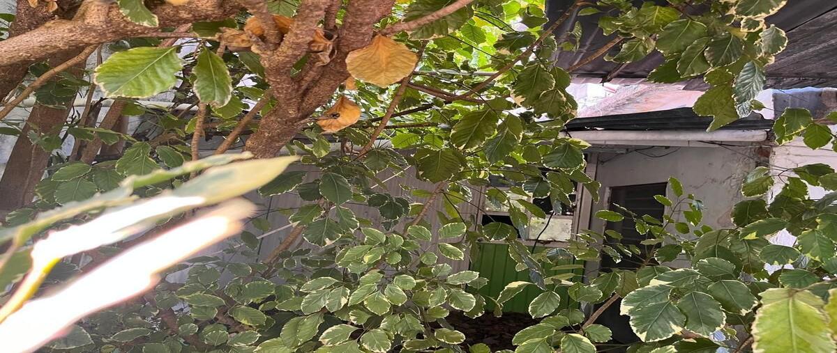 Foto de terreno habitacional en venta en calle 33-a , fátima, carmen, campeche, 0 No. 04