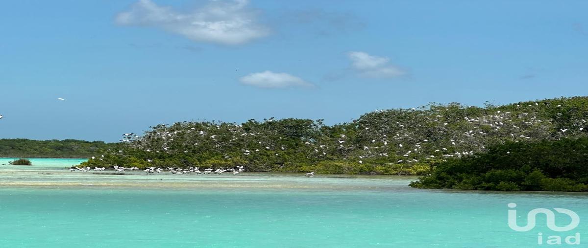 Foto de terreno habitacional en venta en calle 34 67, bacalar uno, bacalar, quintana roo, 31343483 No. 04