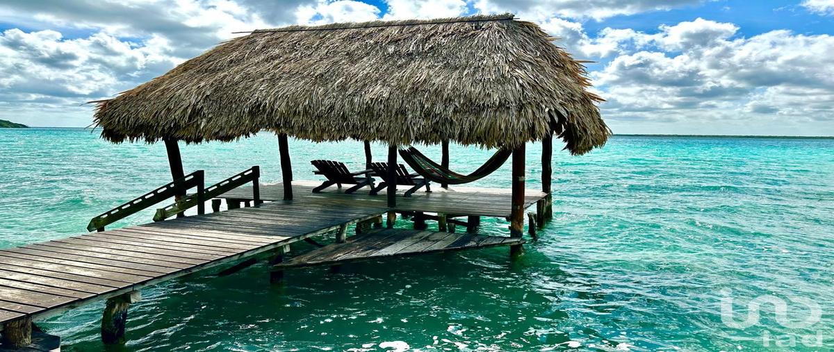 Foto de terreno habitacional en venta en calle 34 67, bacalar uno, bacalar, quintana roo, 31343483 No. 05