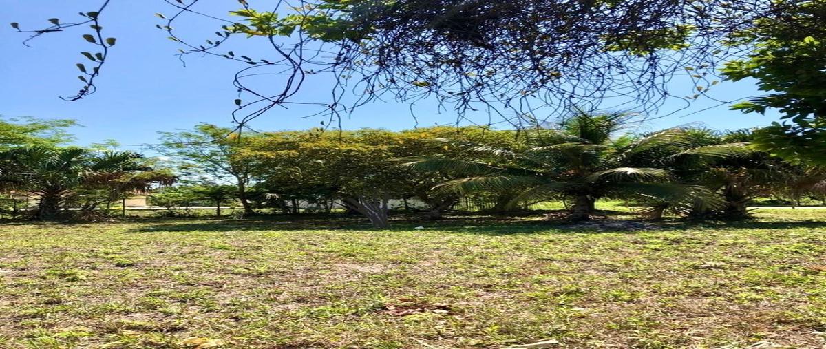 Foto de terreno habitacional en calle 34 , luis donaldo colosio, bacalar, quintana roo, 28120341 foto 02 Foto de terreno habitacional en venta en calle 34 , luis donaldo colosio, bacalar, quintana roo, 28120341 No. 02