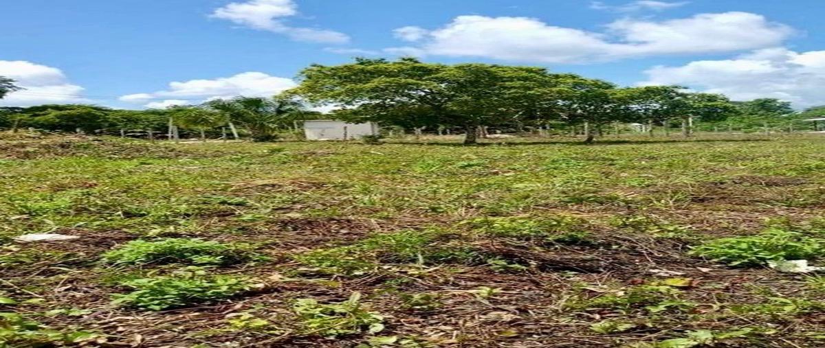 Foto de terreno habitacional en calle 34 , luis donaldo colosio, bacalar, quintana roo, 28120341 foto 03 Foto de terreno habitacional en venta en calle 34 , luis donaldo colosio, bacalar, quintana roo, 28120341 No. 03