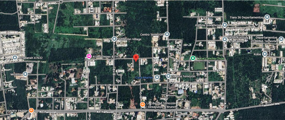 Foto de terreno habitacional en venta en calle 35 , temozon norte, mérida, yucatán, 31082105 No. 04