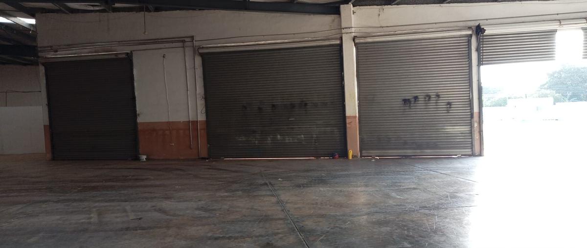 Foto de bodega en calle 37 diagonal 308 , san marcos nocoh, mérida, yucatán, 30840893 foto 05 Foto de bodega en renta en calle 37 diagonal 308 , san marcos nocoh, mérida, yucatán, 30840893 No. 05