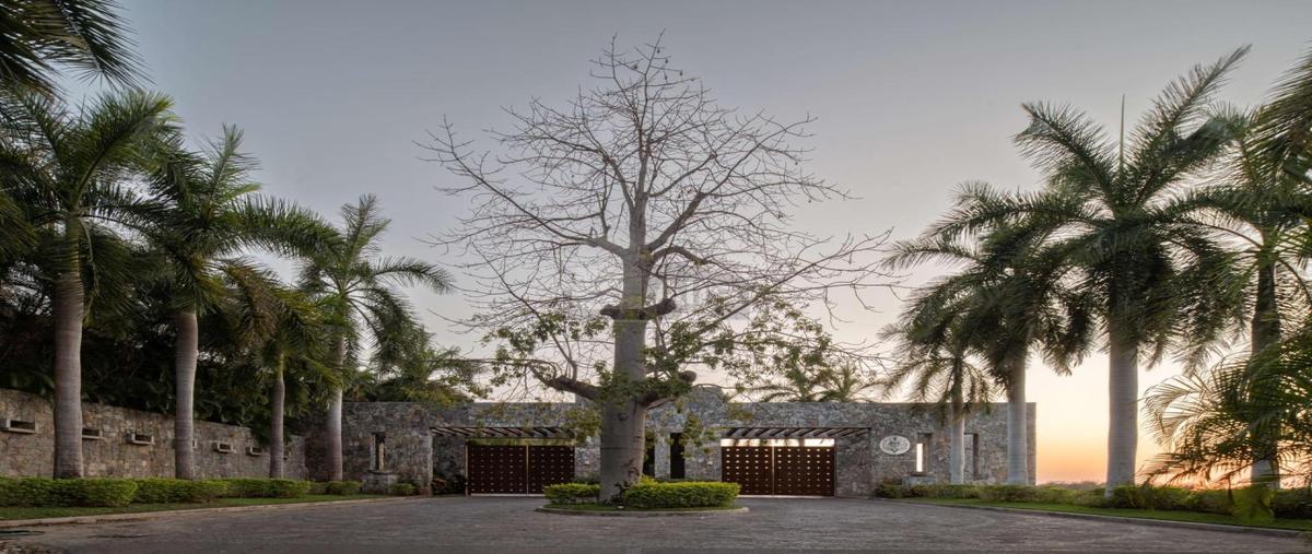 Foto de terreno habitacional en venta en calle 4 40, zihuatanejo (ixtapa-zihuatanejo), zihuatanejo de azueta, guerrero, 0 No. 05