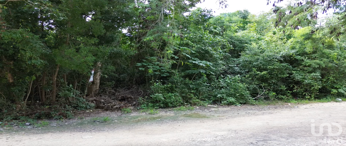 Foto de terreno habitacional en venta en calle 4 sur entre calle 15 poniente y calle 17 poniente , la veleta, tulum, quintana roo, 0 No. 05