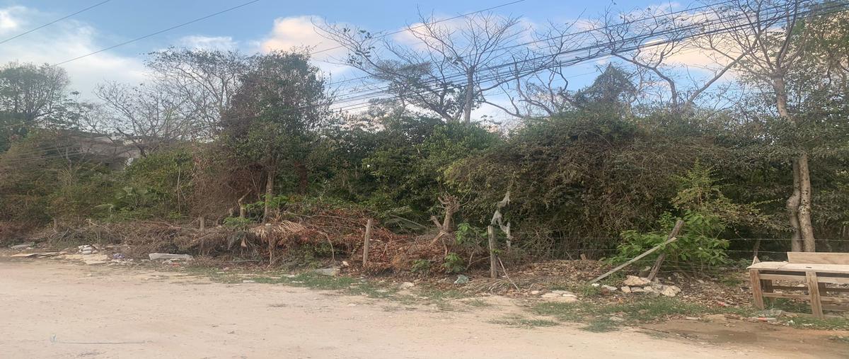 Foto de terreno habitacional en venta en calle 4 sur la veleta , tulum centro, tulum, quintana roo, 27972381 No. 04