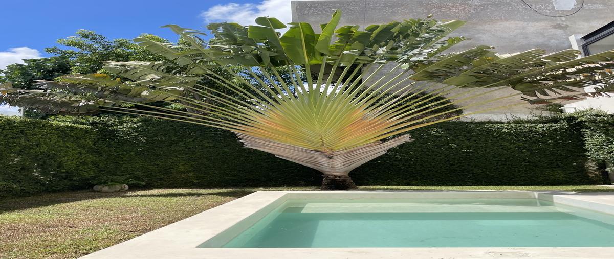 Foto de casa en renta en calle 4 , temozon norte, mérida, yucatán, 0 No. 02