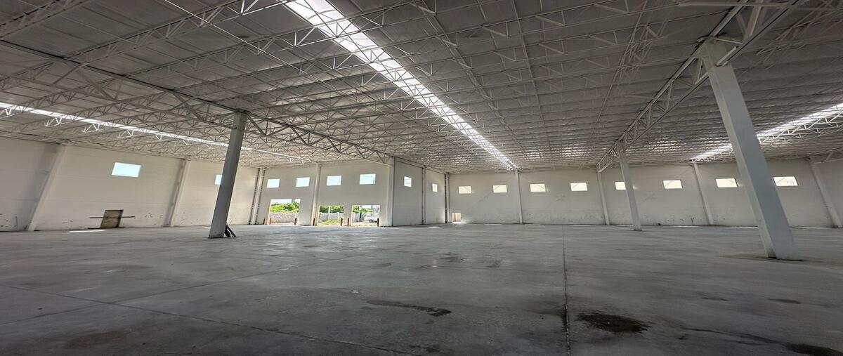 Foto de nave industrial en renta en calle 45 , san javier, apodaca, nuevo león, 0 No. 03