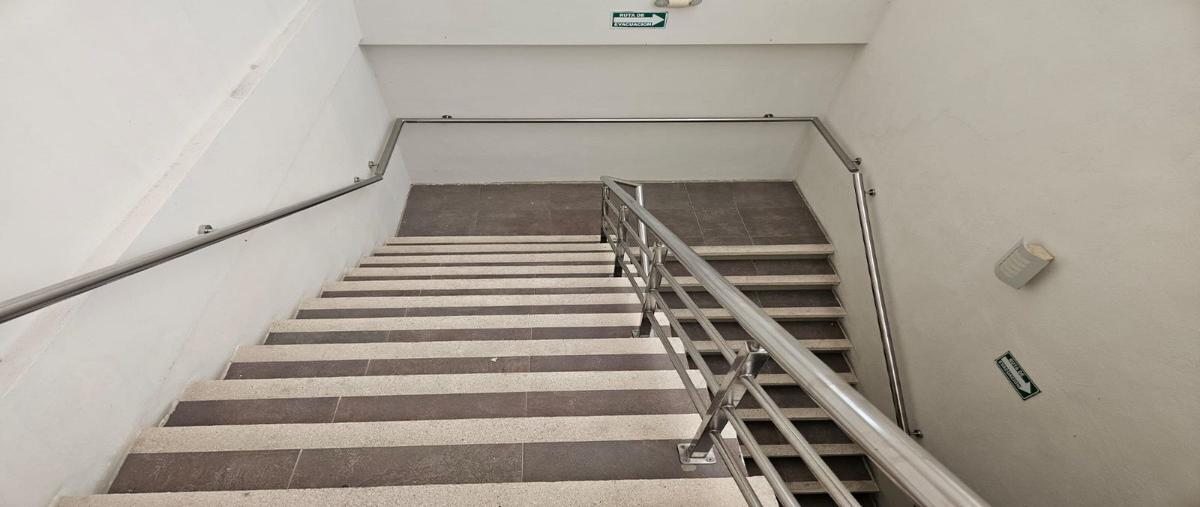 Foto de local en calle 47 , santa margarita, carmen, campeche, 27898311 foto 05 Foto de local en renta en calle 47 , santa margarita, carmen, campeche, 27898311 No. 05