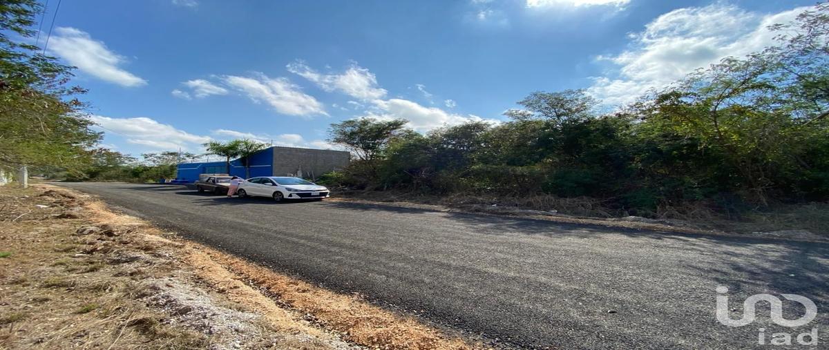 Foto de terreno habitacional en venta en calle 59 , dzitya, mérida, yucatán, 28983271 No. 03
