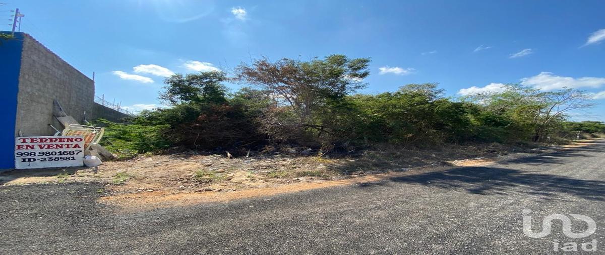 Foto de terreno habitacional en venta en calle 59 , dzitya, mérida, yucatán, 28983271 No. 04