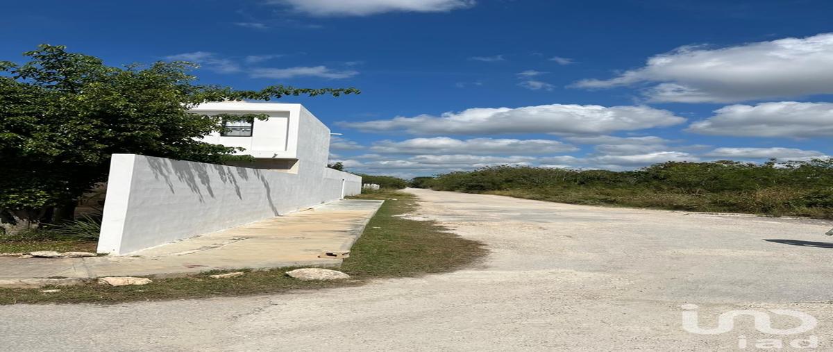 Foto de terreno comercial en calle 59 , dzitya, mérida, yucatán, 31343497 foto 05 Foto de terreno comercial en venta en calle 59 , dzitya, mérida, yucatán, 31343497 No. 05