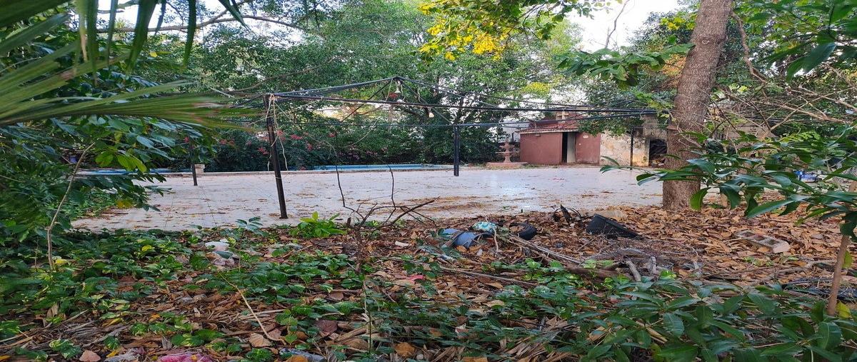 Foto de terreno habitacional en venta en calle 65 , merida centro, mérida, yucatán, 28919206 No. 04