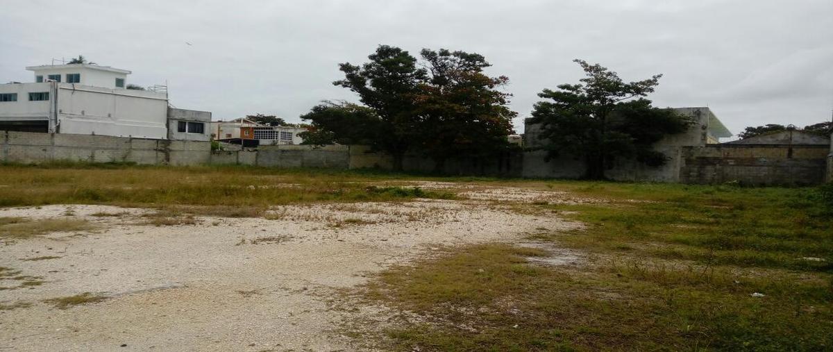 Foto de terreno habitacional en renta en calle 67 , playa norte, carmen, campeche, 27310718 No. 05