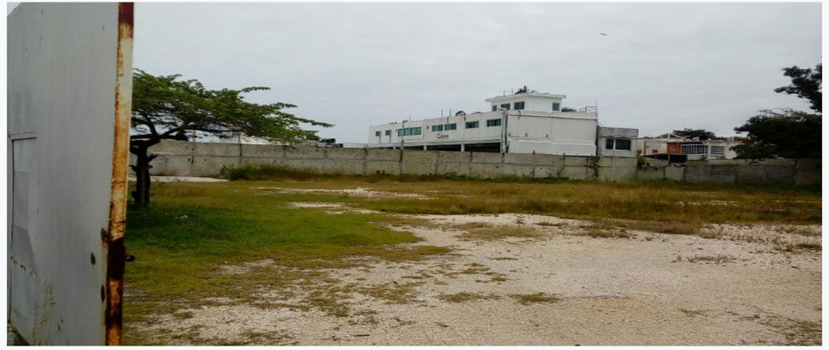 Foto de terreno habitacional en calle 67 , playa norte, carmen, campeche, 27686743 foto 02 Foto de terreno habitacional en renta en calle 67 , playa norte, carmen, campeche, 27686743 No. 02