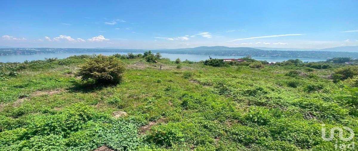 Foto de terreno habitacional en venta en calle 7 104, tequesquitengo, jojutla, morelos, 31731362 No. 05