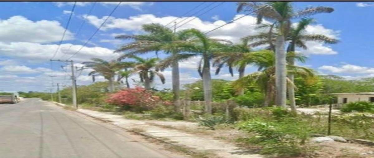 Foto de terreno industrial en venta en calle 80 , dzununcán, mérida, yucatán, 0 No. 05