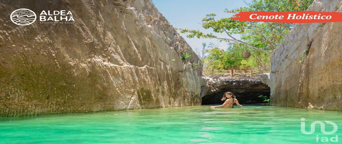 Foto de terreno habitacional en venta en calle 91, telchac puerto, telchac puerto, yucatán, 30291520 No. 05