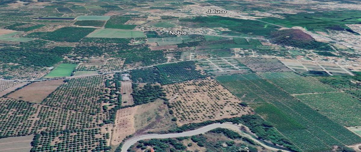 Foto de terreno comercial en venta en calle a la huerta, parecela , barra de navidad, cihuatlán, jalisco, 0 No. 02
