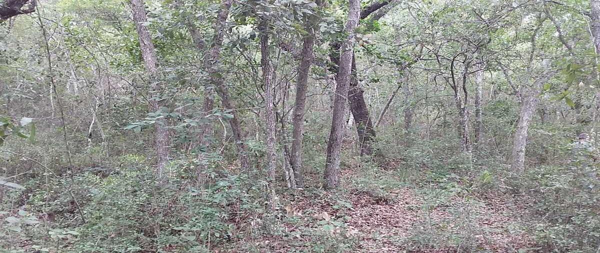 Foto de terreno habitacional en venta en calle a san josé , santa tais, santiago, nuevo león, 0 No. 04