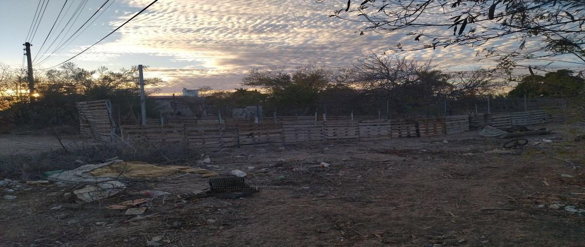 Foto de terreno habitacional en venta en calle agingandu , calafia, la paz, baja california sur, 29438188 No. 08
