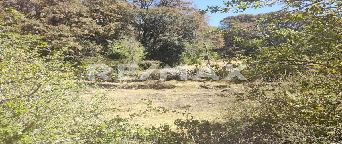 Foto de terreno habitacional en venta en calle almoloya de juarez , el coporo, zinacantepec, méxico, 0 No. 04