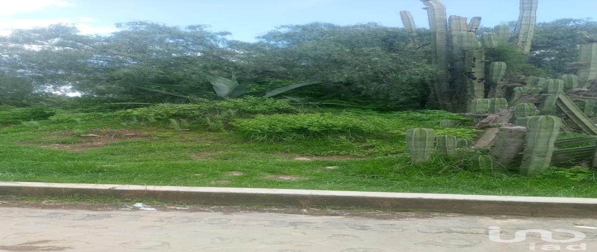 Foto de terreno habitacional en venta en calle amapola 60, zempoala centro, zempoala, hidalgo, 30513514 No. 03