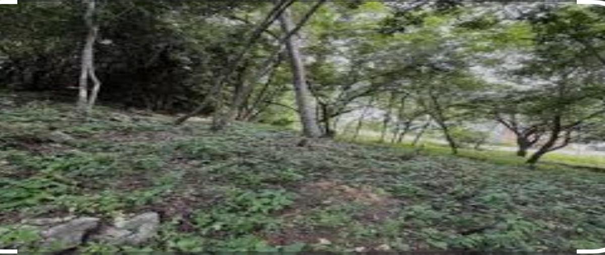 Foto de terreno habitacional en calle amolillón y cuchilla santa rosatierra negraterán , terán, tuxtla gutiérrez, chiapas, 30322071 foto 02 Foto de terreno habitacional en venta en calle amolillón y cuchilla santa rosatierra negraterán , terán, tuxtla gutiérrez, chiapas, 30322071 No. 02