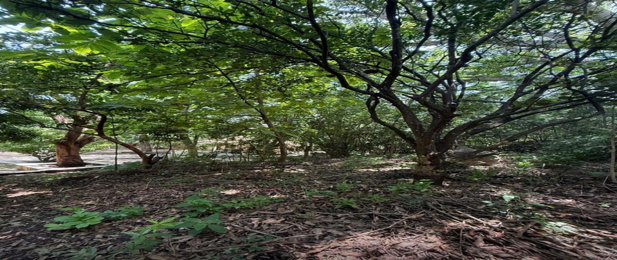 Foto de terreno habitacional en calle amolillón y cuchilla santa rosatierra negraterán , terán, tuxtla gutiérrez, chiapas, 30322071 foto 03 Foto de terreno habitacional en venta en calle amolillón y cuchilla santa rosatierra negraterán , terán, tuxtla gutiérrez, chiapas, 30322071 No. 03