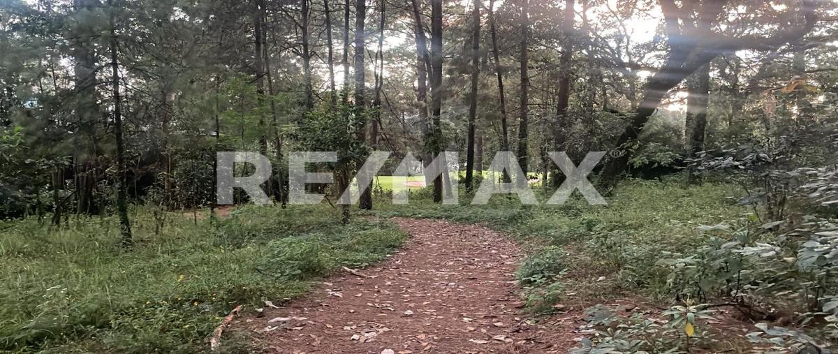 Foto de terreno habitacional en venta en calle arete , tenantongo, valle de bravo, méxico, 0 No. 05