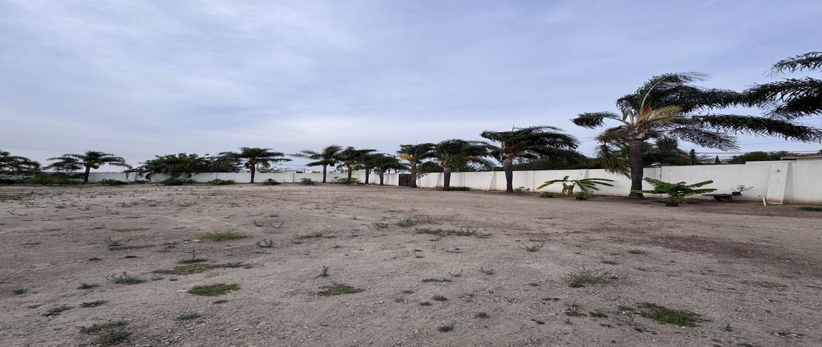 Foto de terreno habitacional en venta en calle atotonilco , jardines del valle, zapopan, jalisco, 0 No. 03