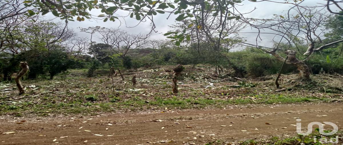 Foto de terreno habitacional en venta en calle azaleas , montepío, san andrés tuxtla, veracruz de ignacio de la llave, 28724803 No. 04