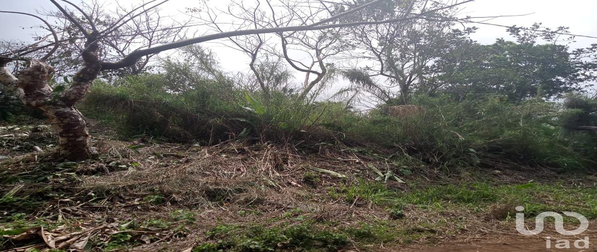Foto de terreno habitacional en venta en calle azaleas , montepío, san andrés tuxtla, veracruz de ignacio de la llave, 28724803 No. 05