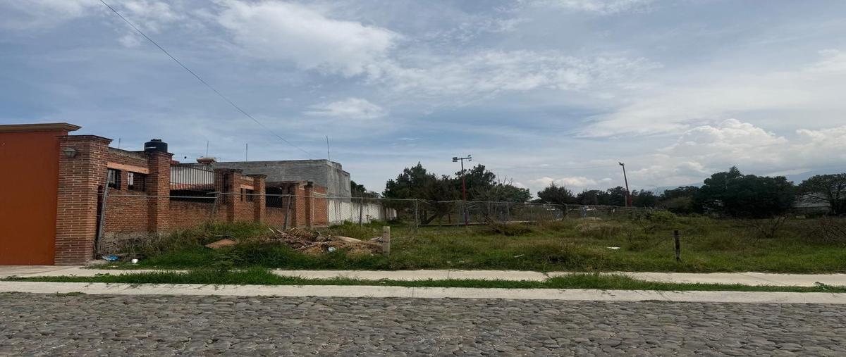 Foto de terreno comercial en venta en calle basilio badillo , ciudad guzmán centro, zapotlán el grande, jalisco, 30365067 No. 04