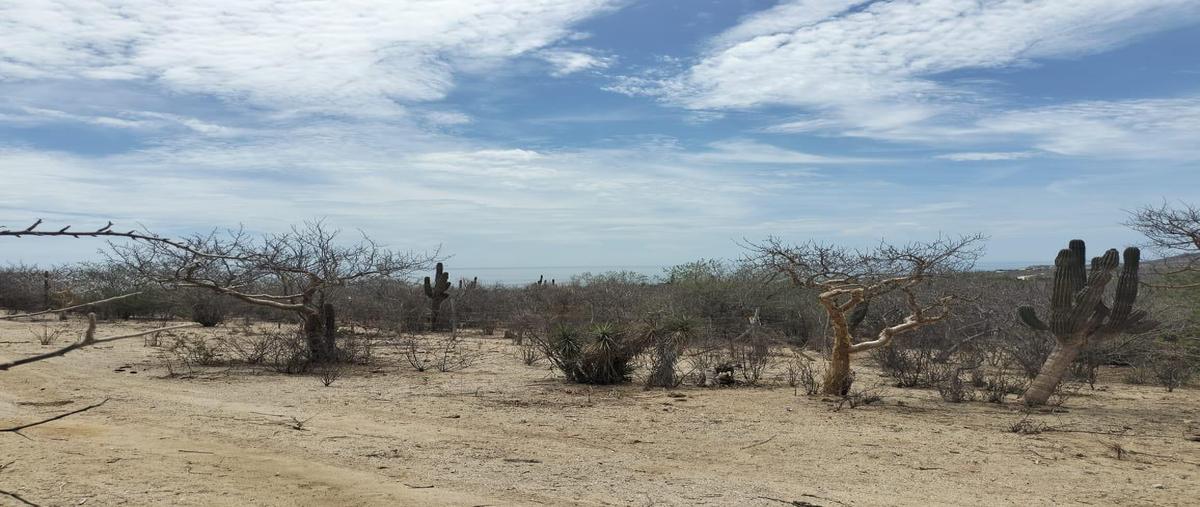 Foto de terreno habitacional en calle camino de acceso , los barriles, la paz, baja california sur, 30108858 foto 04 Foto de terreno habitacional en venta en calle camino de acceso , los barriles, la paz, baja california sur, 30108858 No. 04