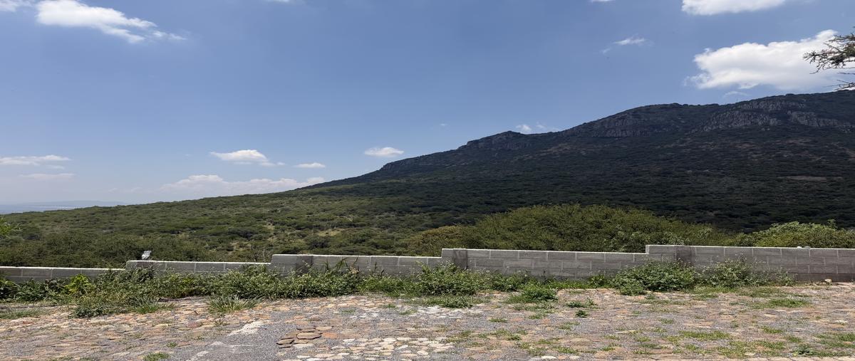 Foto de rancho en venta en calle camino real , bernal, ezequiel montes, querétaro, 0 No. 04