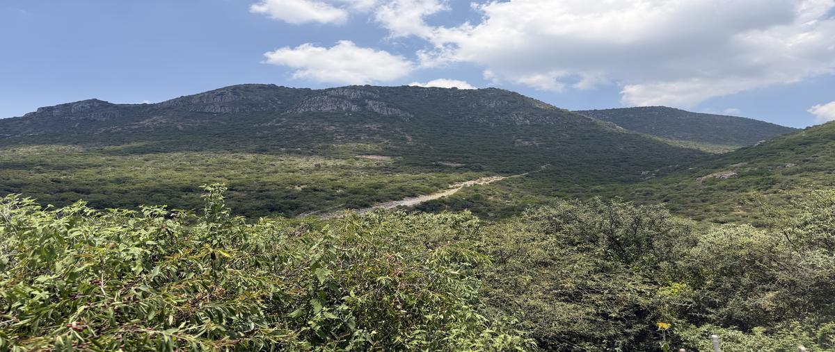 Foto de rancho en venta en calle camino real , bernal, ezequiel montes, querétaro, 0 No. 05