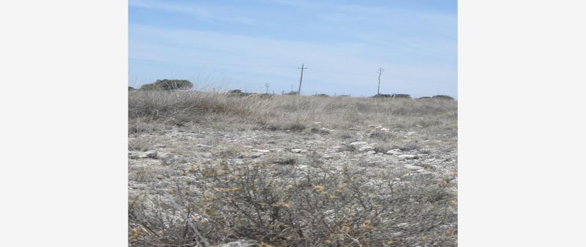 Foto de terreno habitacional en venta en calle capulin , tzocuilac, tecali de herrera, puebla, 6347400 No. 04