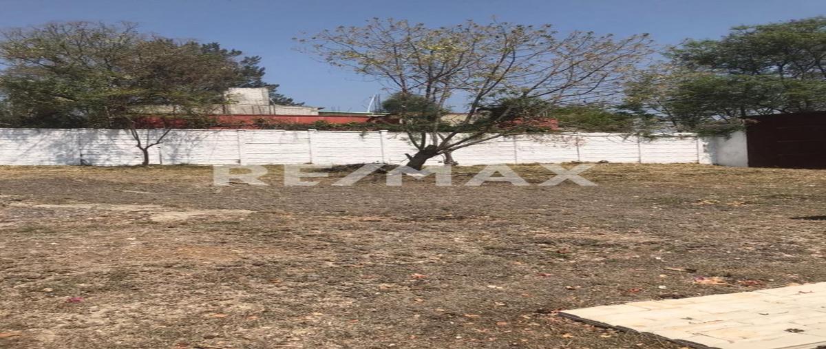 Foto de terreno habitacional en venta en calle carretera a san luis beltran , san andres huayapam, san andrés huayápam, oaxaca, 0 No. 03