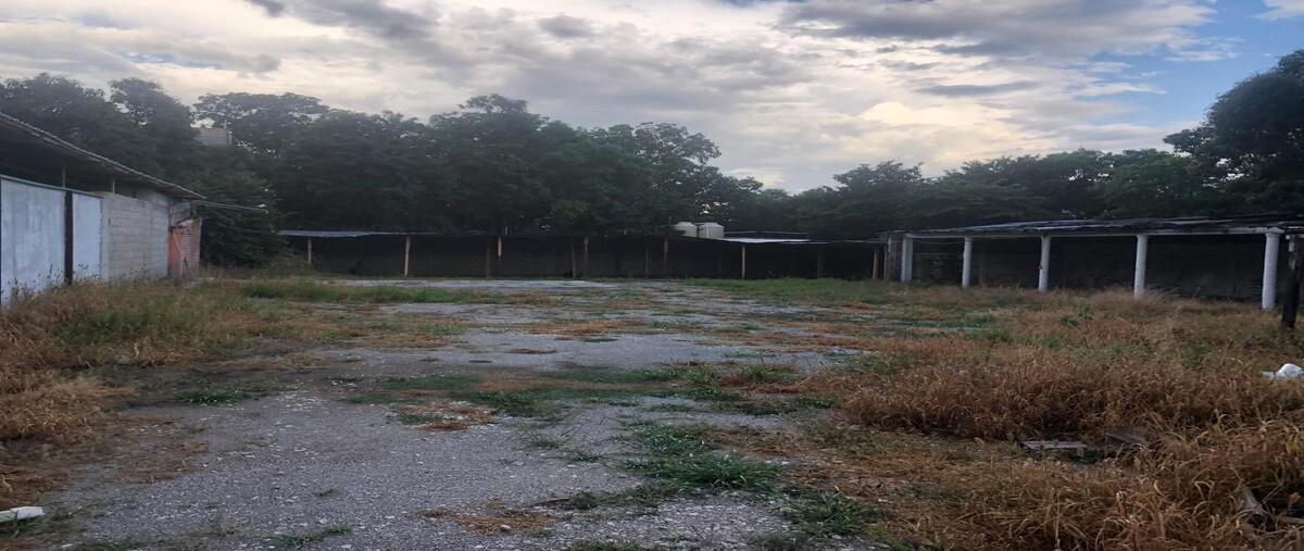 Foto de terreno habitacional en calle central norte entre 4 y 5 oriente , terán, tuxtla gutiérrez, chiapas, 0 foto 04 Foto de terreno habitacional en renta en calle central norte entre 4 y 5 oriente , terán, tuxtla gutiérrez, chiapas, 0 No. 04