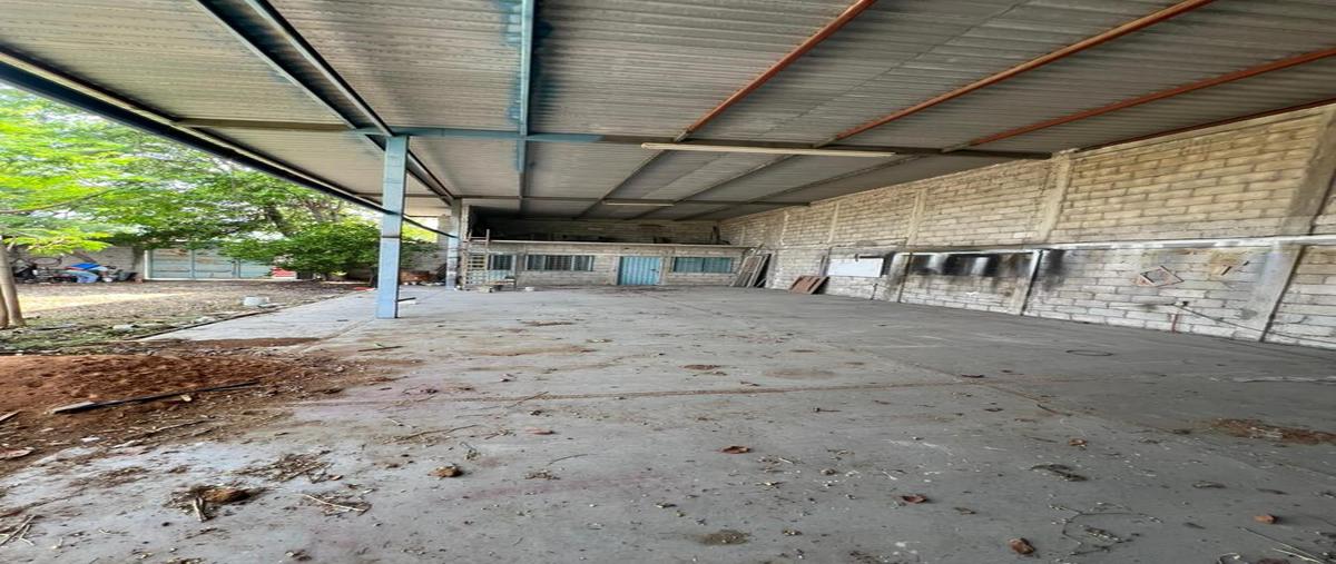 Foto de terreno habitacional en calle central , rivera cahuare, chiapa de corzo, chiapas, 30405493 foto 05 Foto de terreno habitacional en venta en calle central , rivera cahuare, chiapa de corzo, chiapas, 30405493 No. 05