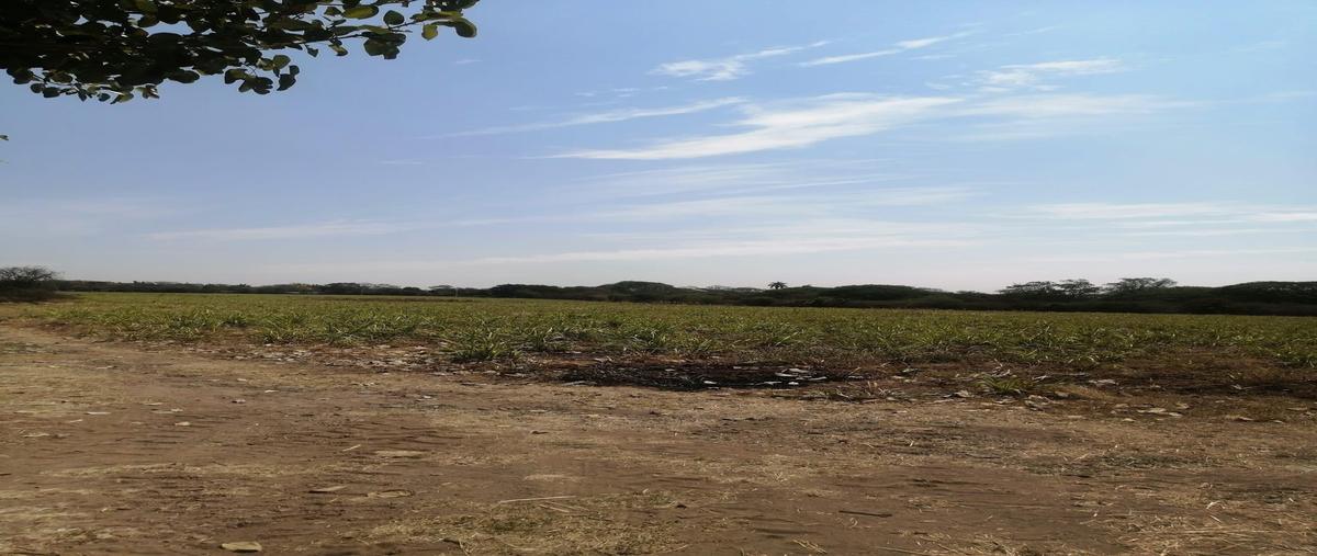 Foto de rancho en calle , cerro de ortega, tecomán, colima, 0 foto 01 Foto de rancho en renta en calle , cerro de ortega, tecomán, colima, 0 No. 01